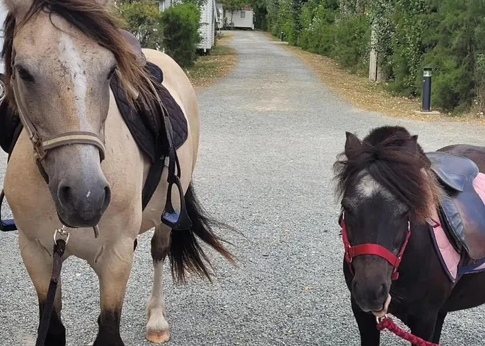 Mobil Spacieux Avec Terrasse Pour 8 Personnes - Api-1-52-1343 אתר קמפינג