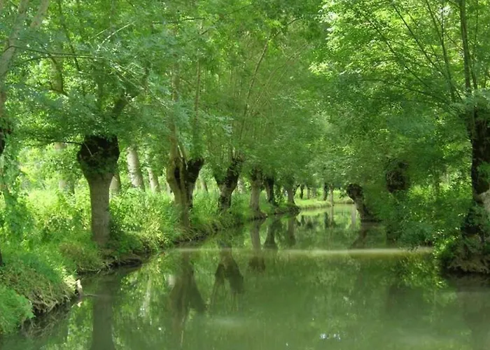 אתר קמפינג Mobil Spacieux Avec Terrasse Pour 8 Personnes - Api-1-52-1343 *